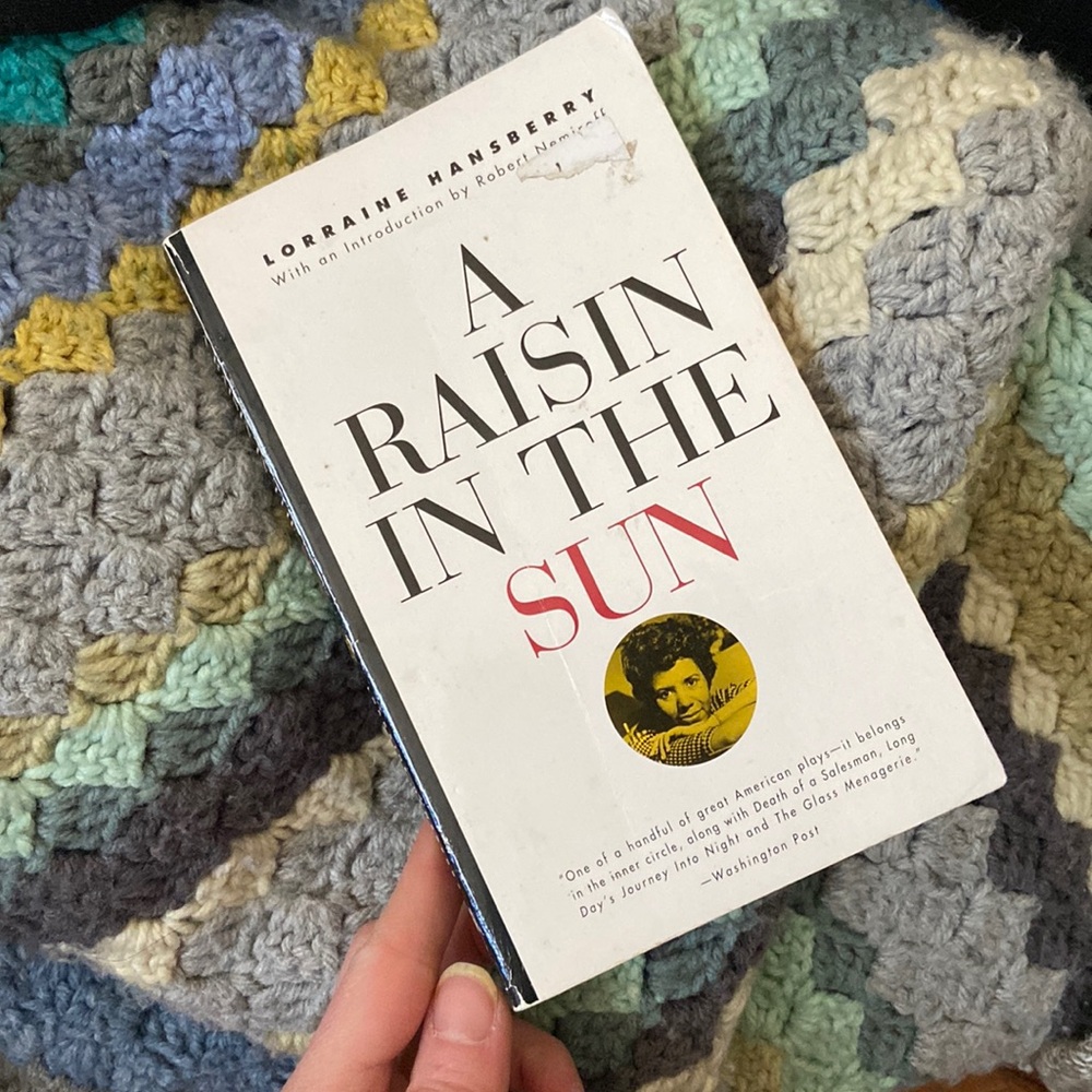 FEB FLASH SALE✨ Raisin in the sun
